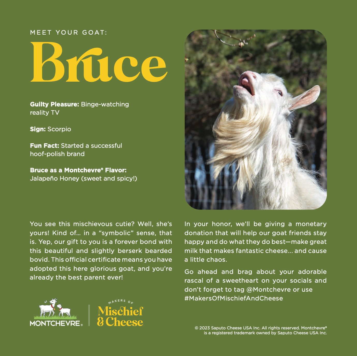 A bio card of Bruce the goat.
