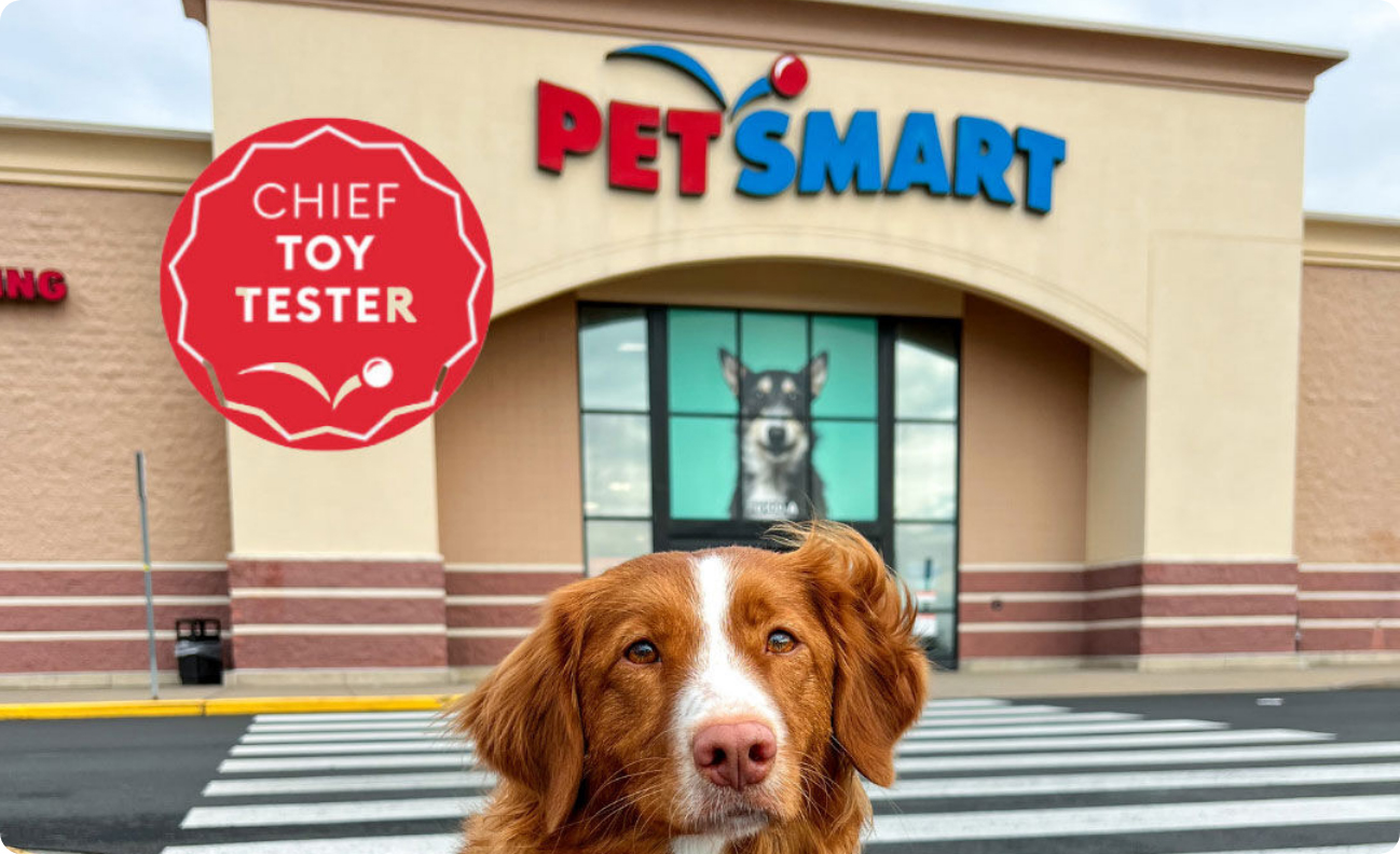 A dog standing in front of a PetSmart with a sign that says 